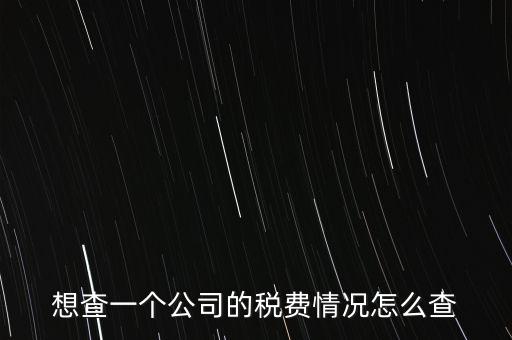如何查詢公司納稅記錄查詢，想查一個公司的稅費情況怎么查
