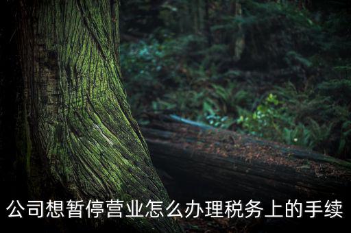 北京市如何辦理單位稅務(wù)暫停，企業(yè)暫停營業(yè)怎么辦理