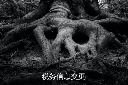 地稅如何變更人員信息查詢，浙江地稅開票軟件開票人怎么更改