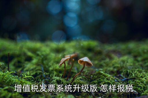 如何更新發(fā)票系統(tǒng)版本，如何將開票軟件升級為最新版本