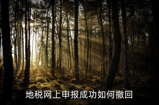地稅網(wǎng)上已預(yù)約如何取消預(yù)約，地稅網(wǎng)上申報(bào)成功如何撤回