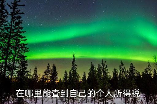 稅務如何查個稅，個稅怎么查