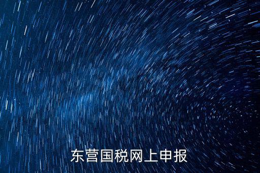 東營(yíng)國(guó)稅如何網(wǎng)上申報(bào)，東營(yíng)國(guó)稅網(wǎng)上申報(bào)