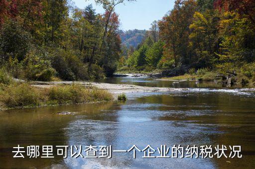 如何查詢企業(yè)納稅，去哪里可以查到一個企業(yè)的納稅狀況