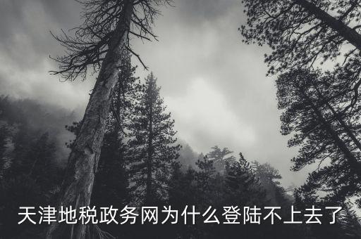 天津地稅如何登錄，天津地稅政務(wù)網(wǎng)為什么登陸不上去了