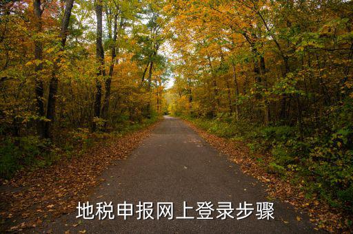 廣西國稅地稅如何網(wǎng)上申報，稅務(wù)申報如何網(wǎng)上申報