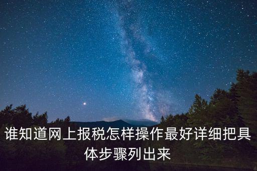 如何進(jìn)行網(wǎng)上納稅申報(bào)，如何進(jìn)行網(wǎng)上申報(bào)稅款