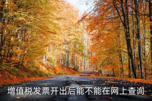 如何查詢發(fā)票完稅，稅控軟件上已經(jīng)開的發(fā)票怎么查詢