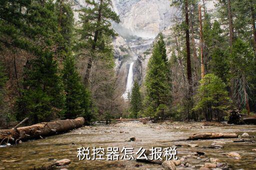 有稅控盤如何報稅，稅控器怎么報稅