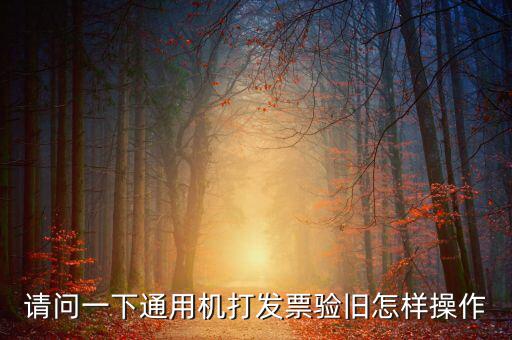 定額通用發(fā)票如何驗舊，請問一下通用機(jī)打發(fā)票驗舊怎樣操作