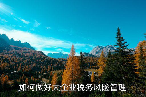 如何加強對重點企業(yè)的稅務管理，加強大企業(yè)的稅收管理有何良策