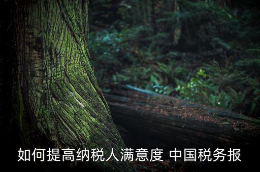 如何落實(shí)便民春風(fēng)行動(dòng)，如何提高納稅人滿意度 中國稅務(wù)報(bào)
