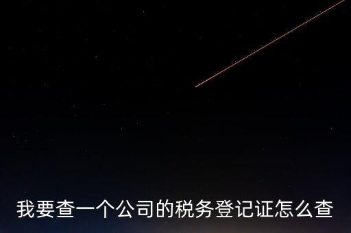 如何查企業(yè)的稅收記錄，想查一個(gè)公司的稅費(fèi)情況怎么查