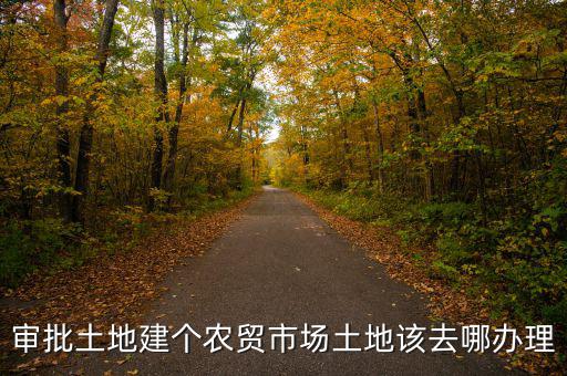 農(nóng)貿(mào)市場土地如何取得，審批土地建個農(nóng)貿(mào)市場土地該去哪辦理