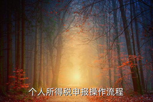 自然人所得稅如何安裝，個(gè)人所得稅如何進(jìn)行申報(bào)和核算