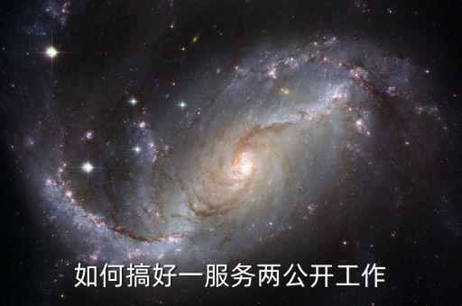 如何推進一案雙查工作，如何搞好一服務兩公開工作