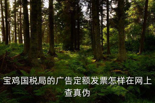 國稅定額發(fā)票如何查驗，國稅的定額發(fā)票怎么辨別真假制作的跟假的似的