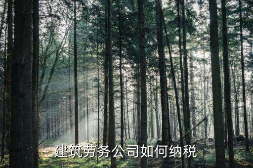 建筑勞務(wù)如何征稅，建筑勞務(wù)公司如何納稅