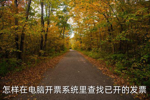 怎樣在電腦開(kāi)票系統(tǒng)里查找已開(kāi)的發(fā)票