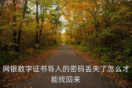 數(shù)字證書密碼錯(cuò)誤如何找回，營(yíng)業(yè)執(zhí)照數(shù)字證書密碼忘記了 怎么辦