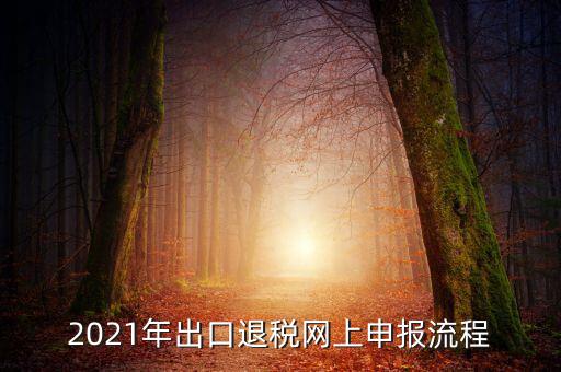 如何登錄出口退稅網(wǎng)，出口退稅申報流程操作