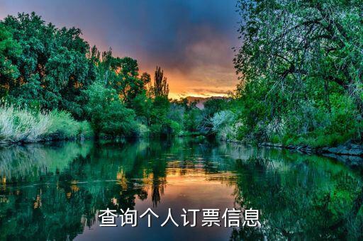 如何查買票信息查詢，12306可以查買票信息嗎