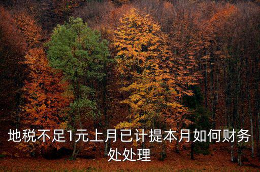 財務(wù)處如何落實數(shù)據(jù)地稅，地稅不足1元上月已計提本月如何財務(wù)處處理