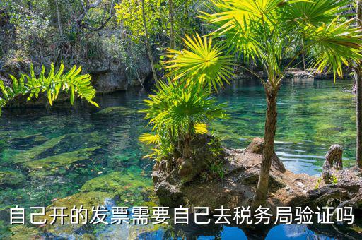 如何去稅務(wù)局驗證發(fā)票嗎，發(fā)票怎么去稅務(wù)局驗證需要什么資料