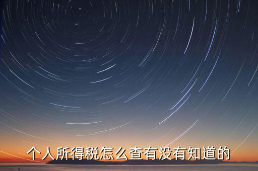 張家港個人所得稅如何查詢，個人所得稅怎么查有沒有知道的