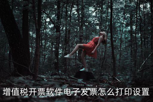 電子發(fā)票如何設置，acdsee5怎樣修改電子發(fā)票
