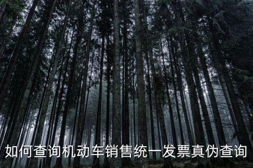 如何查詢(xún)機(jī)動(dòng)車(chē)銷(xiāo)售統(tǒng)一發(fā)票真?zhèn)尾樵?xún)
