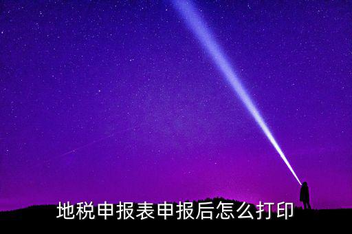 地稅如何打印申報表，地稅納稅申報表怎么打印