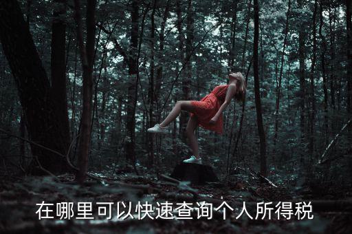 在哪里可以快速查詢(xún)個(gè)人所得稅