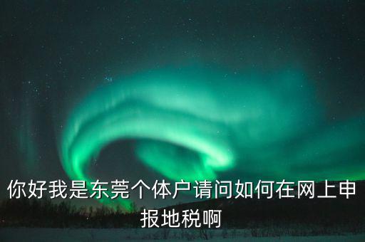 東莞個稅如何申報，你好我是東莞個體戶請問如何在網(wǎng)上申報地稅啊
