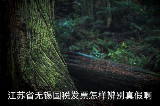 如何查詢無錫國稅發(fā)票真?zhèn)尾樵?，江蘇省無錫國稅發(fā)票怎樣辨別真假啊