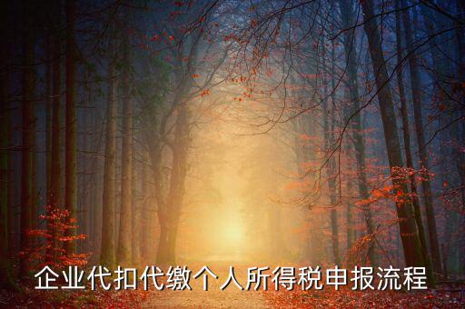 網(wǎng)上如何進(jìn)入代扣代繳申報(bào)，企業(yè)代扣代繳個(gè)人所得稅申報(bào)流程