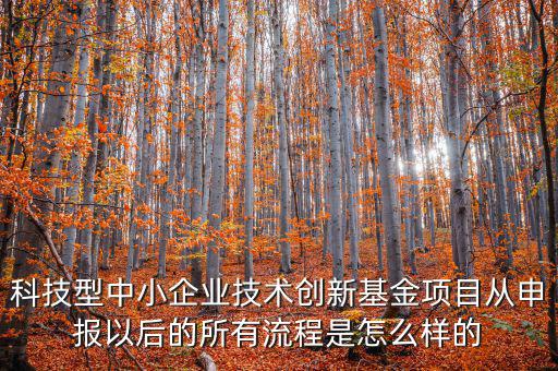 科技型優(yōu)惠如何備案，研發(fā)費(fèi)用加計(jì)扣除優(yōu)惠備案的要點(diǎn)有哪些