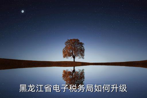如何升級(jí)國稅系統(tǒng)，河南省電子稅務(wù)局版本過低怎么升級(jí)