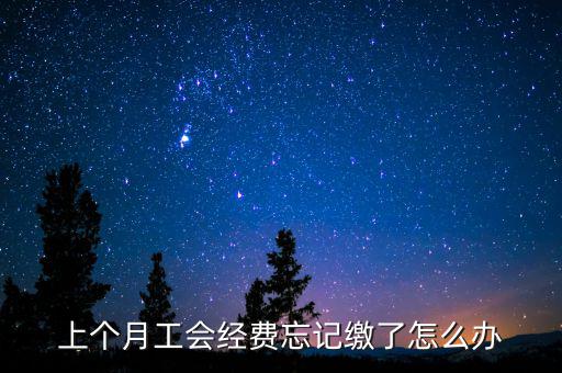 如何補繳上月工會經(jīng)費地稅，工會經(jīng)費上月已申報但未繳費本月可以補交嗎在哪里補交是在報稅系統(tǒng)