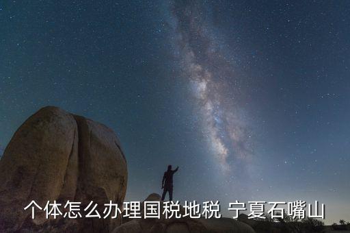 寧夏個稅如何申報，個體怎么辦理國稅地稅 寧夏石嘴山