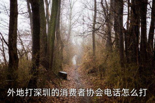 外地打深圳的消費(fèi)者協(xié)會(huì)電話(huà)怎么打