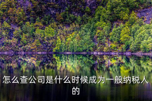 如何查詢一般人納稅認(rèn)定時間，怎么查公司是什么時候成為一般納稅人的