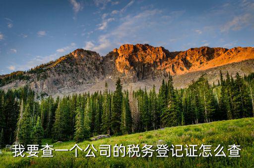 如何查詢稅務(wù)登記表，稅務(wù)登記證查詢