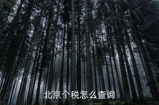 北京地稅局官網(wǎng)如何查個稅，怎么查詢最新北京個稅繳納情況