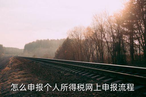 泉州個人所得稅如何網上申報，個人所得稅網上申報步驟
