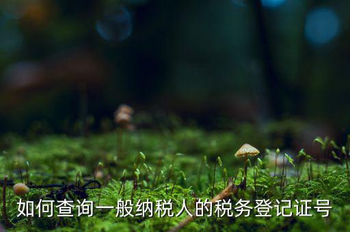 如何查詢(xún)一般納稅人的稅務(wù)登記證號(hào)