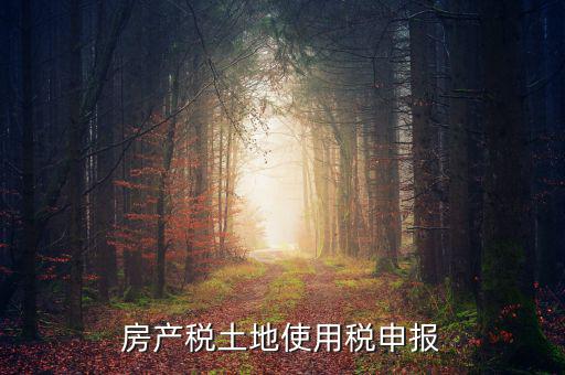 金稅三期如何申報土地使用稅，房產(chǎn)稅土地使用稅申報