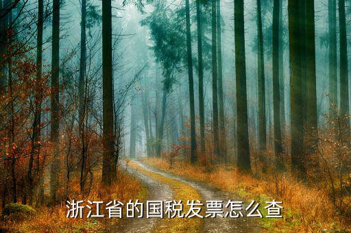 浙江國稅發(fā)票如何查詢，哪里可以查浙江增值稅專用發(fā)票的真?zhèn)挝以谡憬瓏惥W(wǎng)上查不到