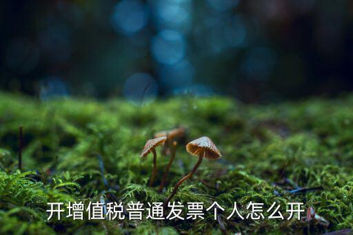 普票如何開給個(gè)人，增值稅普通發(fā)票開個(gè)人需要什么資料