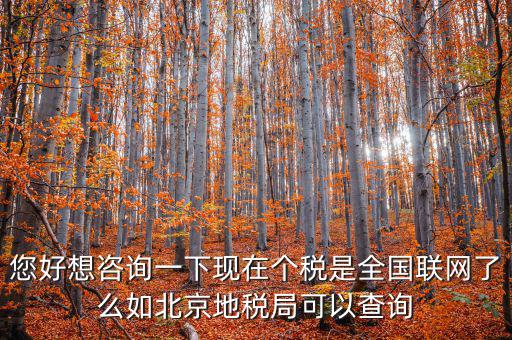 您好想咨詢(xún)一下現(xiàn)在個(gè)稅是全國(guó)聯(lián)網(wǎng)了么如北京地稅局可以查詢(xún)